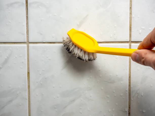 Best Mold Remediation  in Ingalls Park, IL