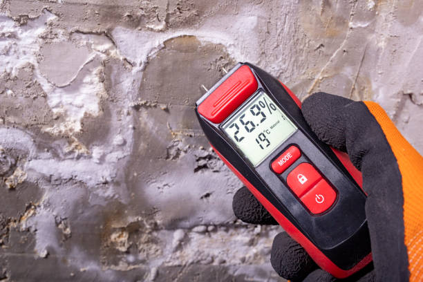 Best Mold Removal Specialists  in Ingalls Park, IL
